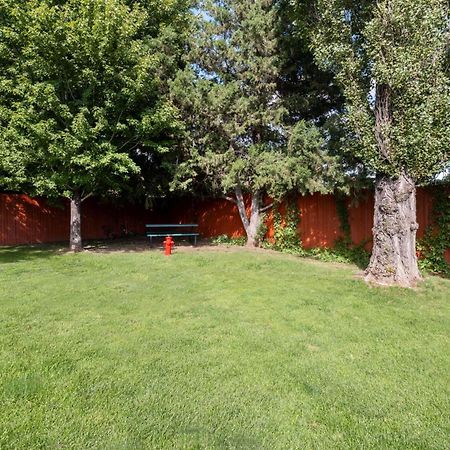 Best Western Pony Soldier Inn & Suites Flagstaff Exterior photo